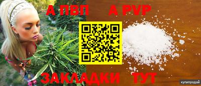 стафф Мариинск