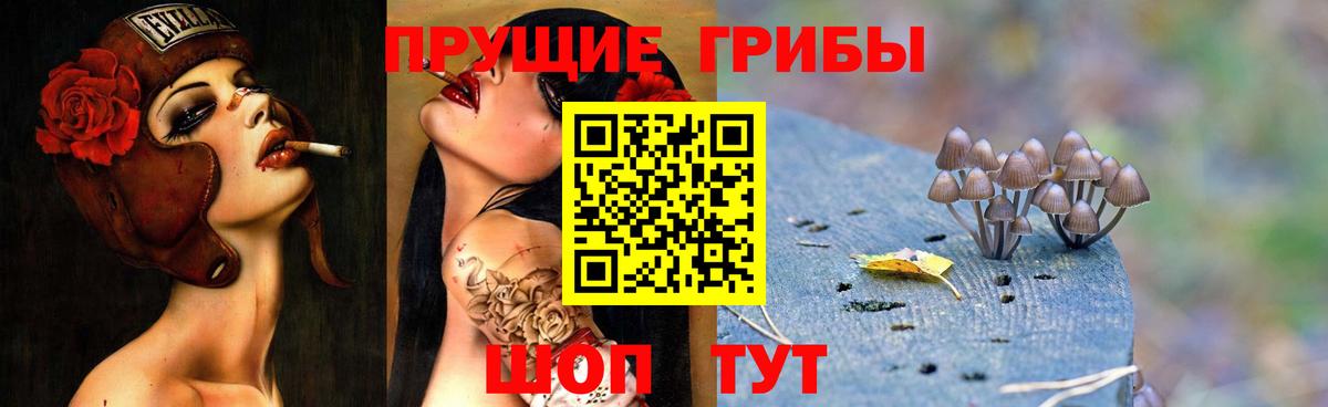 Ялуторовск  Галлюциногенные грибы Cubensis  Вход с VPN  Псилоцибиновые грибы GOLDEN TEACHER 